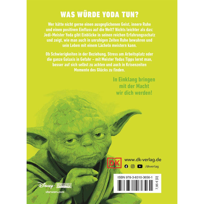 23033_star-wars-scopri-lo-yoda-che-e-in-te-main2.jpg
