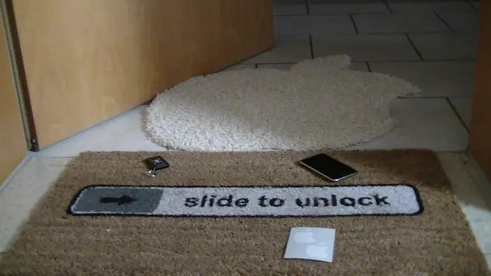 Fußmatte Slide to unlock aus Kokosfaser