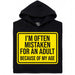 Mistaken For An Adult - Vista principal Sudadera Negro