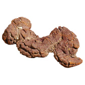 Dinosaur coprolite