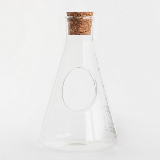 Lab Glass Terrarium Grow Kit in an Erlenmeyer Flask