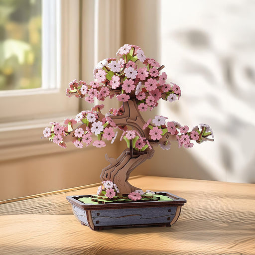 cherry blossom bonsai tree uk Magic Sakura