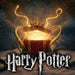 productImage-23099-nerdige-weihnachtsgeschenke-harry-potter.jpg