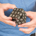 wms-23722-pos4.jpg