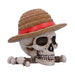 One Piece Storage Box Luffy's Jolly Roger