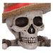 One Piece Storage Box Luffy's Jolly Roger