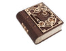 Book of Secrets Wooden Model Kit
